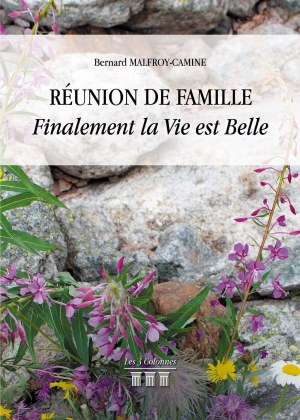 MALFROY-CAMINE BERNARD - Réunion de Famille - Finalement la Vie est Belle