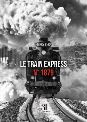Thierry BERNS - Le train express n° 1879