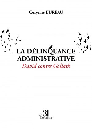 BUREAU CORYNNE - La délinquance administrative - David contre Goliath