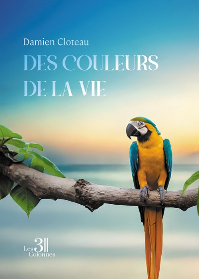 Damien CLOTEAU - Des couleurs de la vie