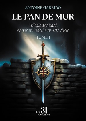 GARRIDO ANTOINE - Le pan de mur