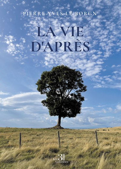 Pierre-Yves LE-BORGN - La vie d'après