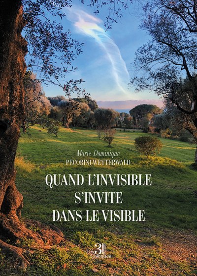 Marie-Dominique PECORINI-WETTERWALD - Quand l’invisible s’invite dans le visible